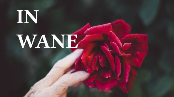 In Wane: A poem by Mona Soorma