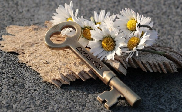 A key to your dreams placed next to white flowers