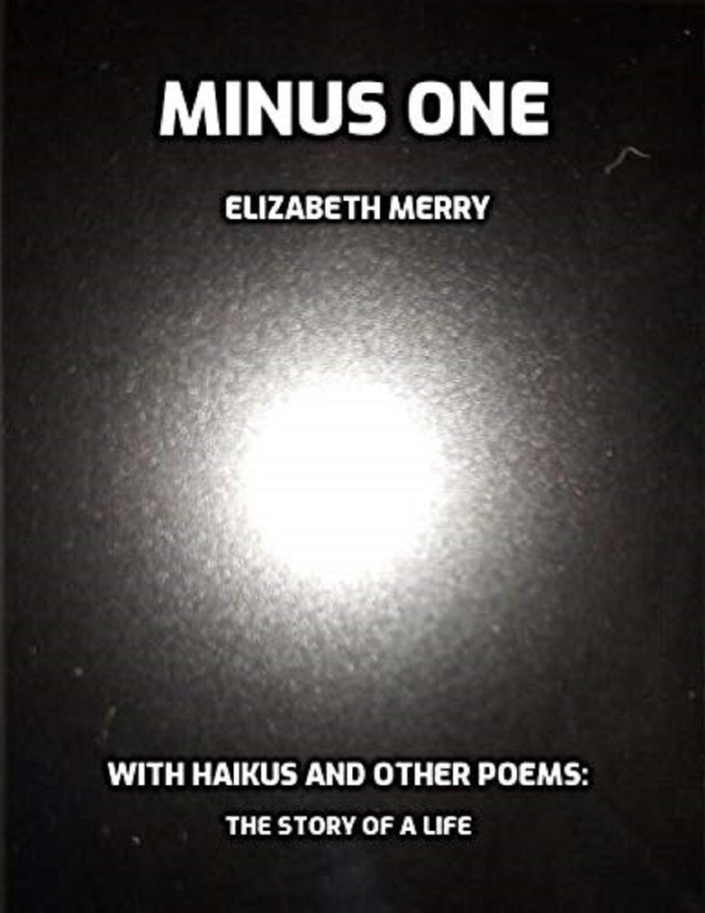 Cover of book Minus One by Elizabeth Merry