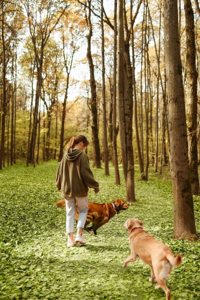 Saira with the mutts in the park (story illustration)