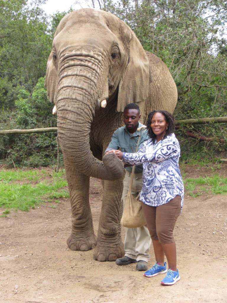 Khaya, feeding an elephant in Plett, South Africa.