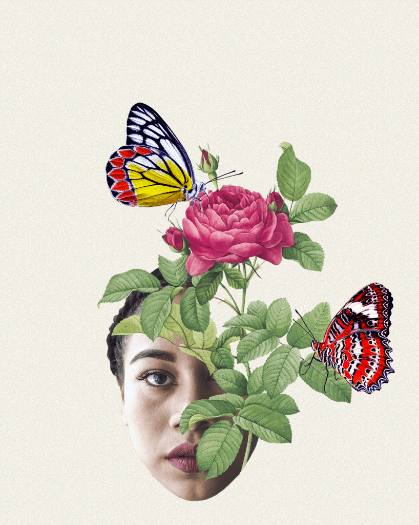 Rose and Butterflies Digital Art