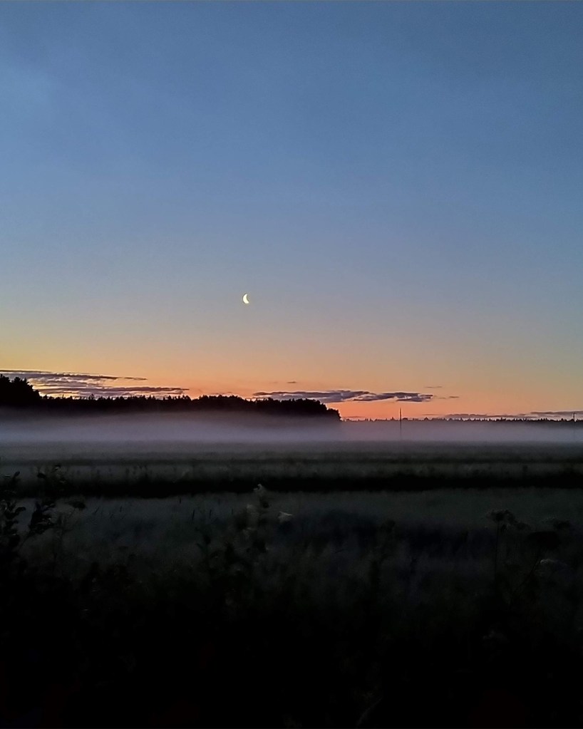Moon in the night sky