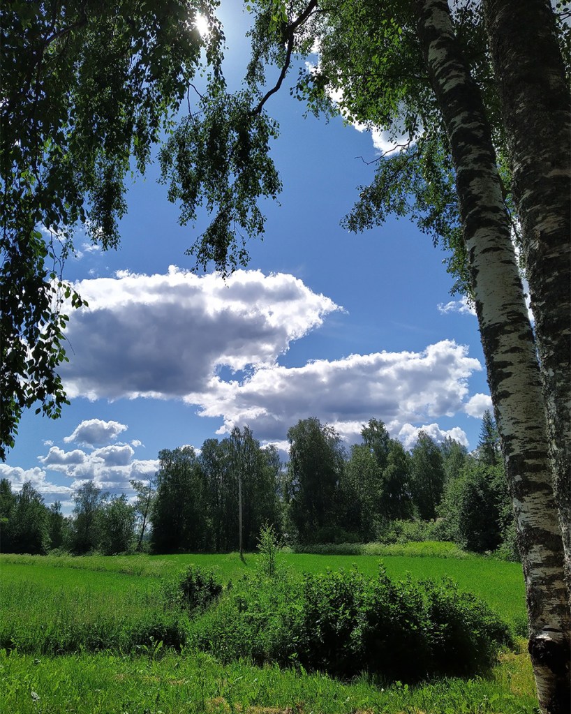 Cotton clouds in the sky