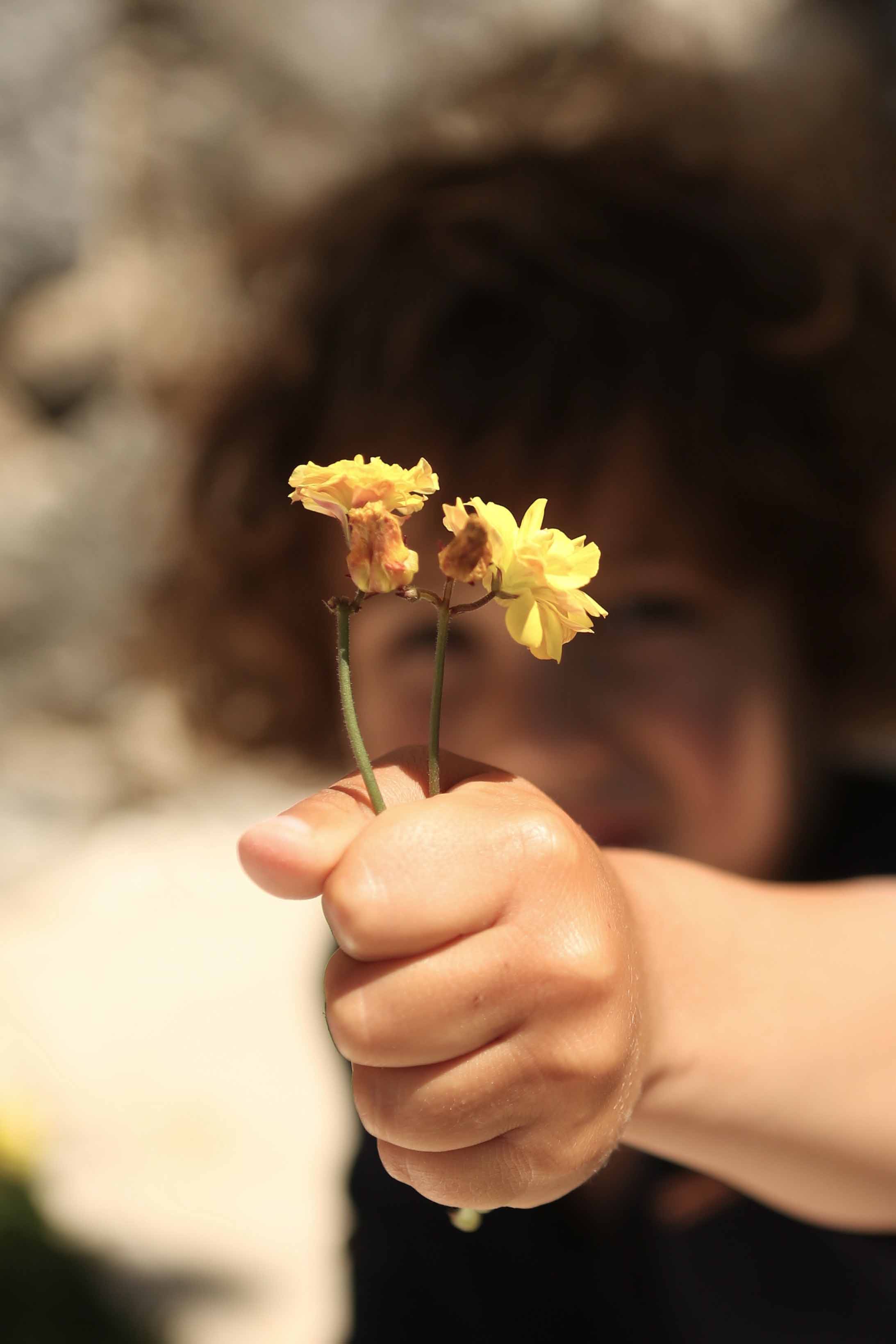 Cheers! This website is free to read