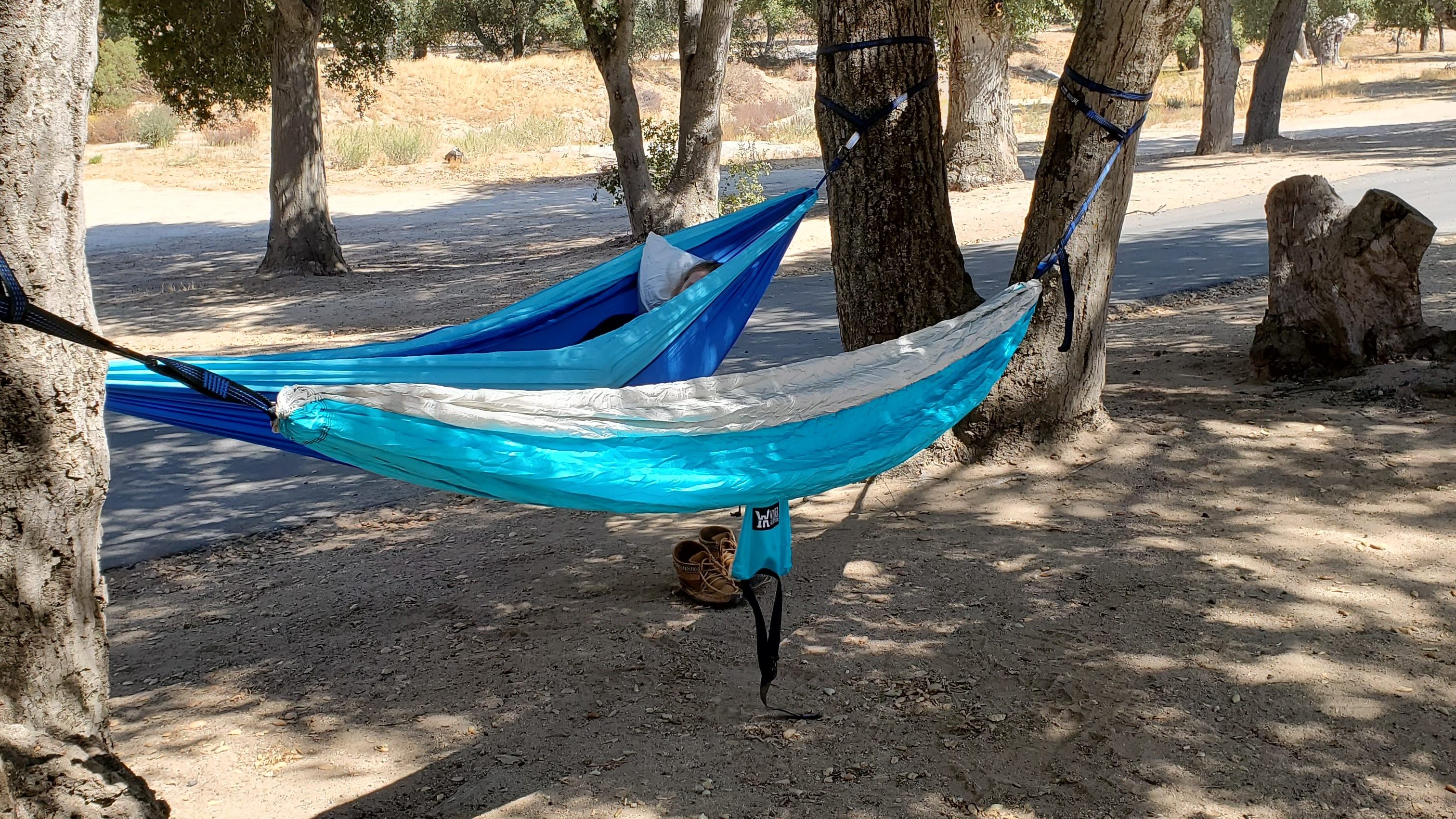 Hammock between trees by Evan Griffith
