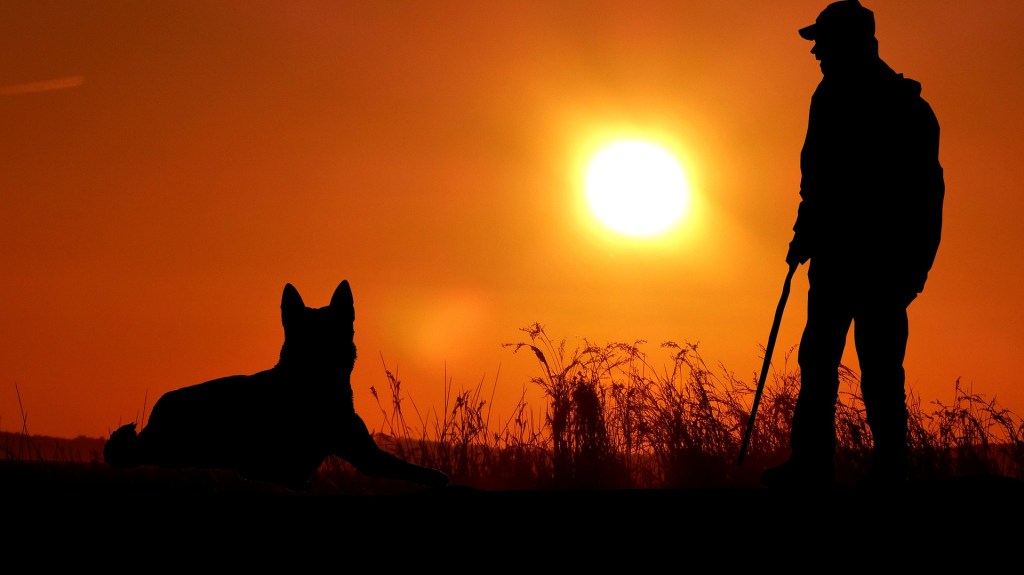 Man and a dog outdoors in the sunset
