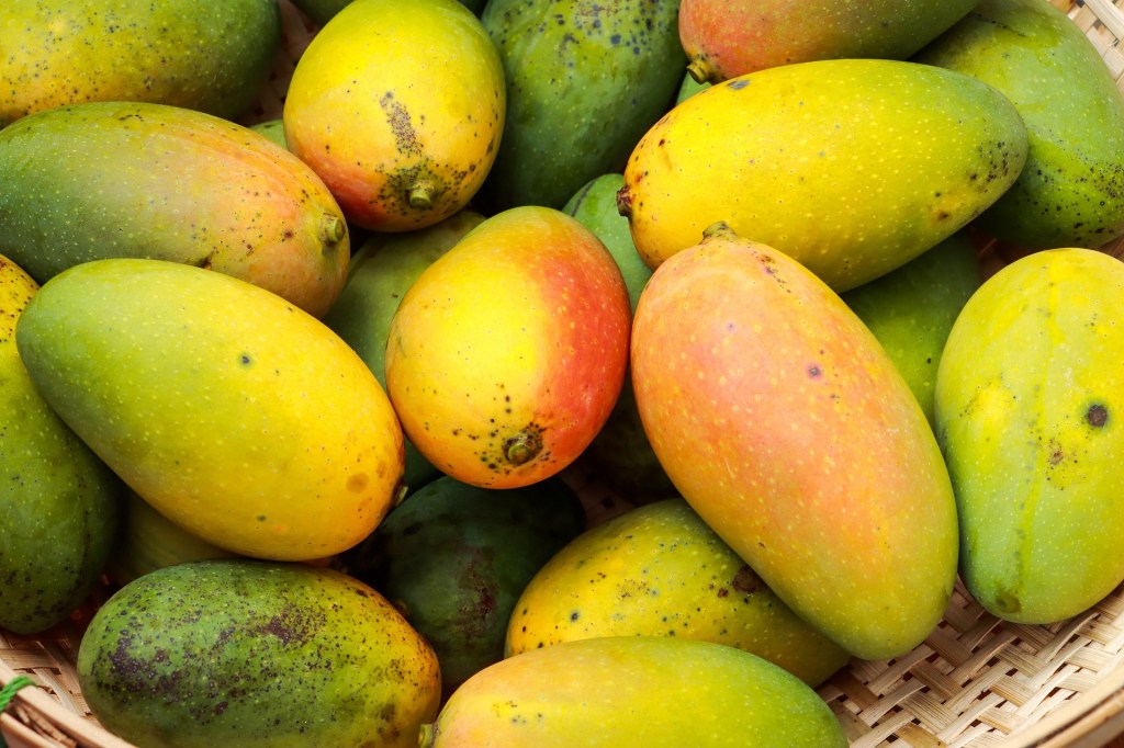 Mangoes in a basket