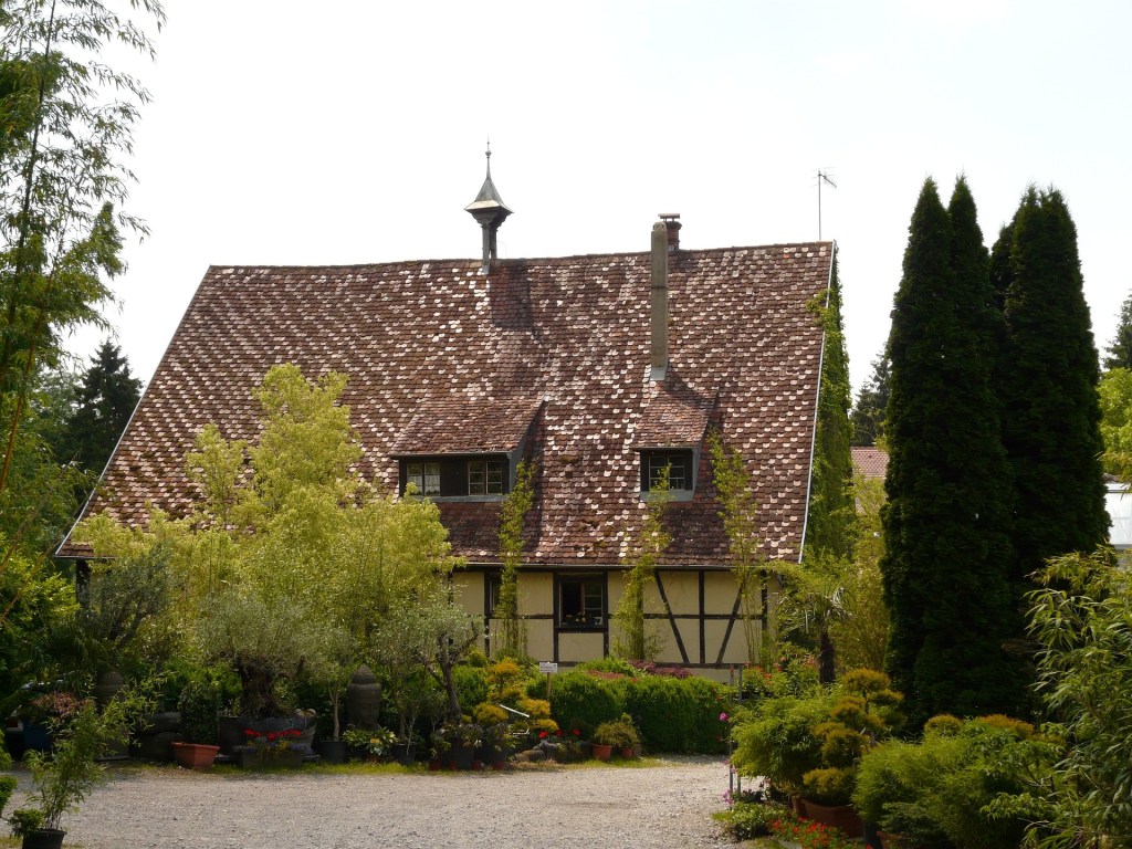 A cottage in the countryside