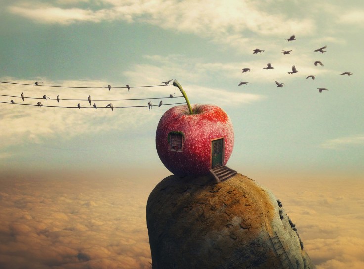 The song of the birds