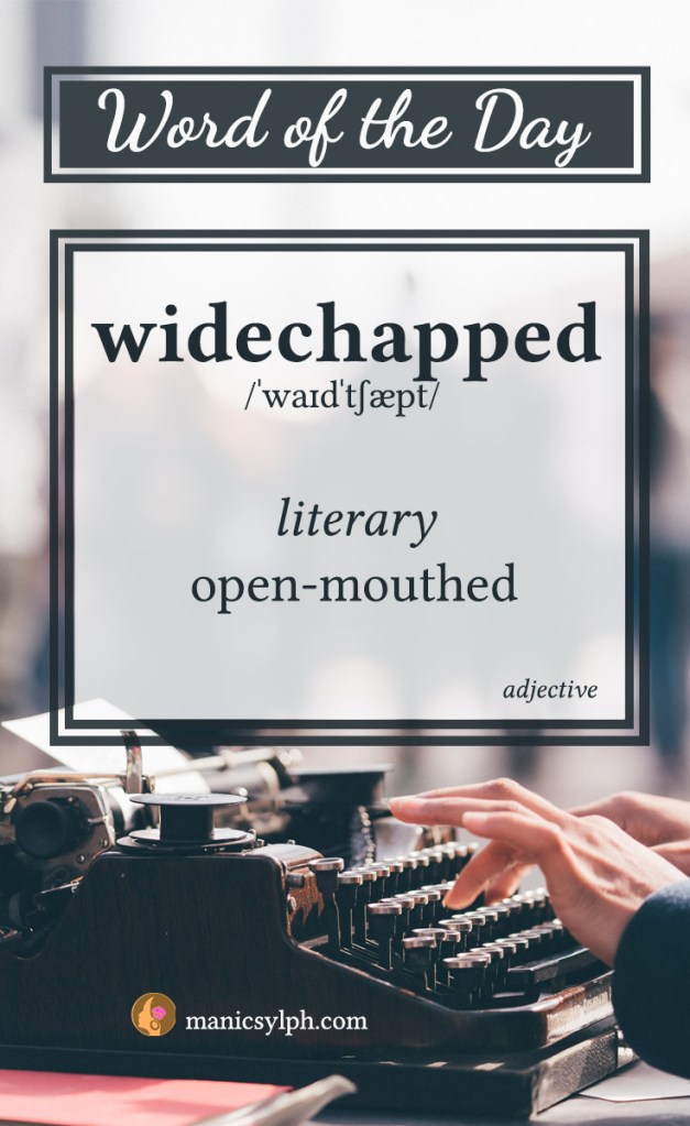 WORD OF THE DAY ~ Widechapped
