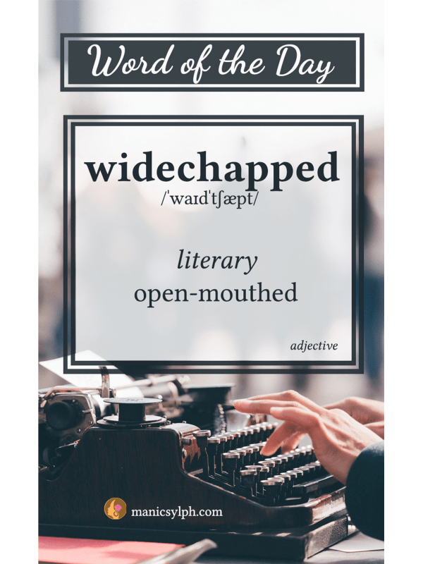 WORD OF THE DAY ~ Widechapped